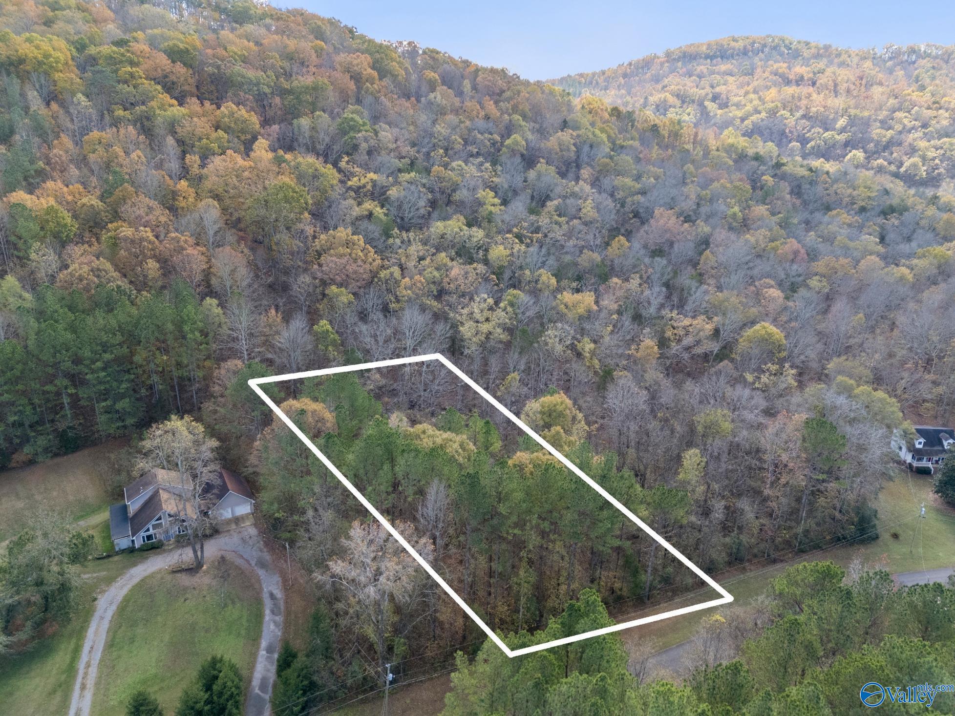 3 Acres Ashley Drive, Grant, Alabama image 3