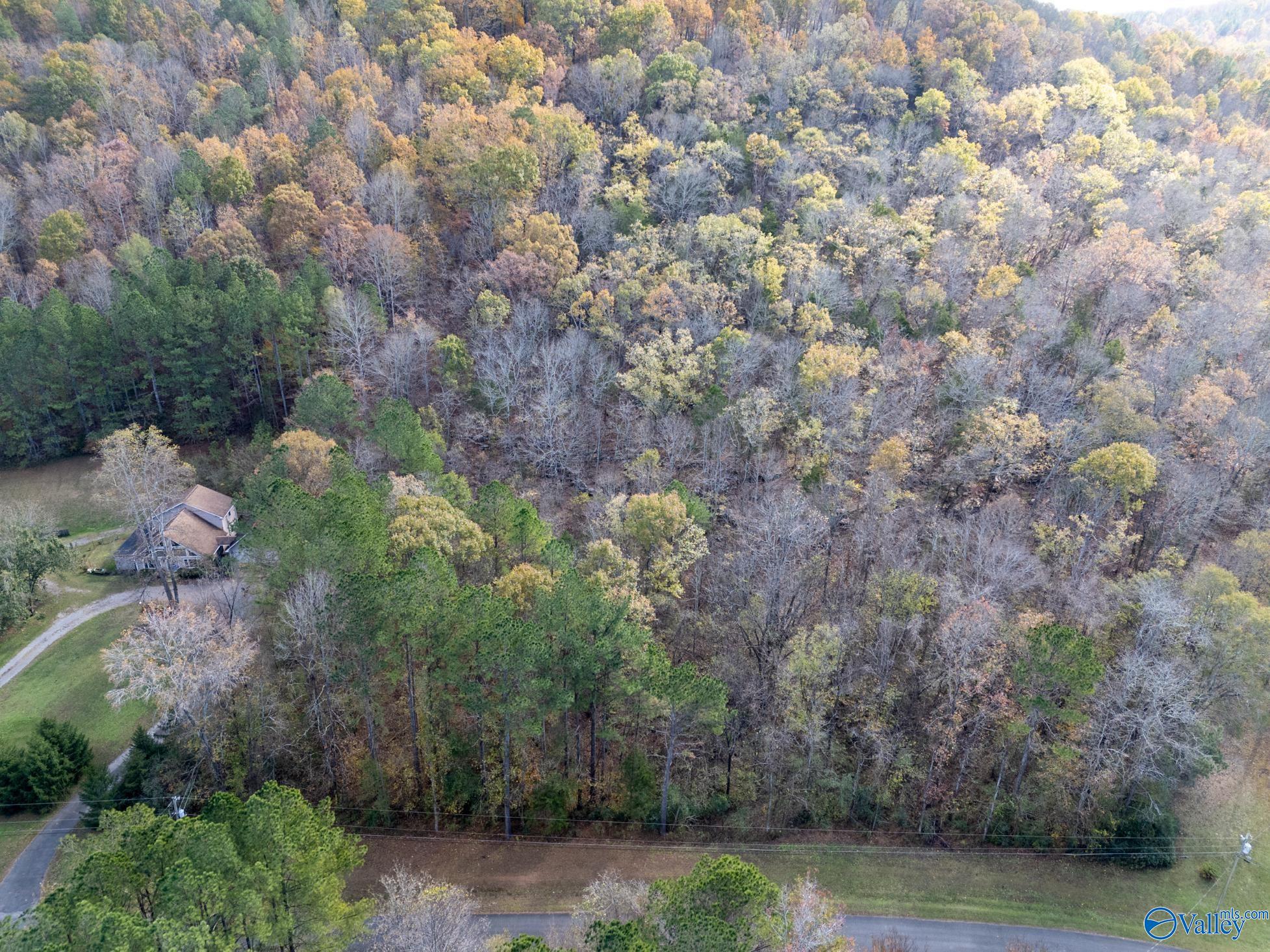 3 Acres Ashley Drive, Grant, Alabama image 7