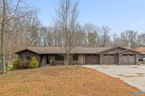 Photo of 20262 Alabama Highway 117, Ider, AL 35981 (MLS # 21905557)