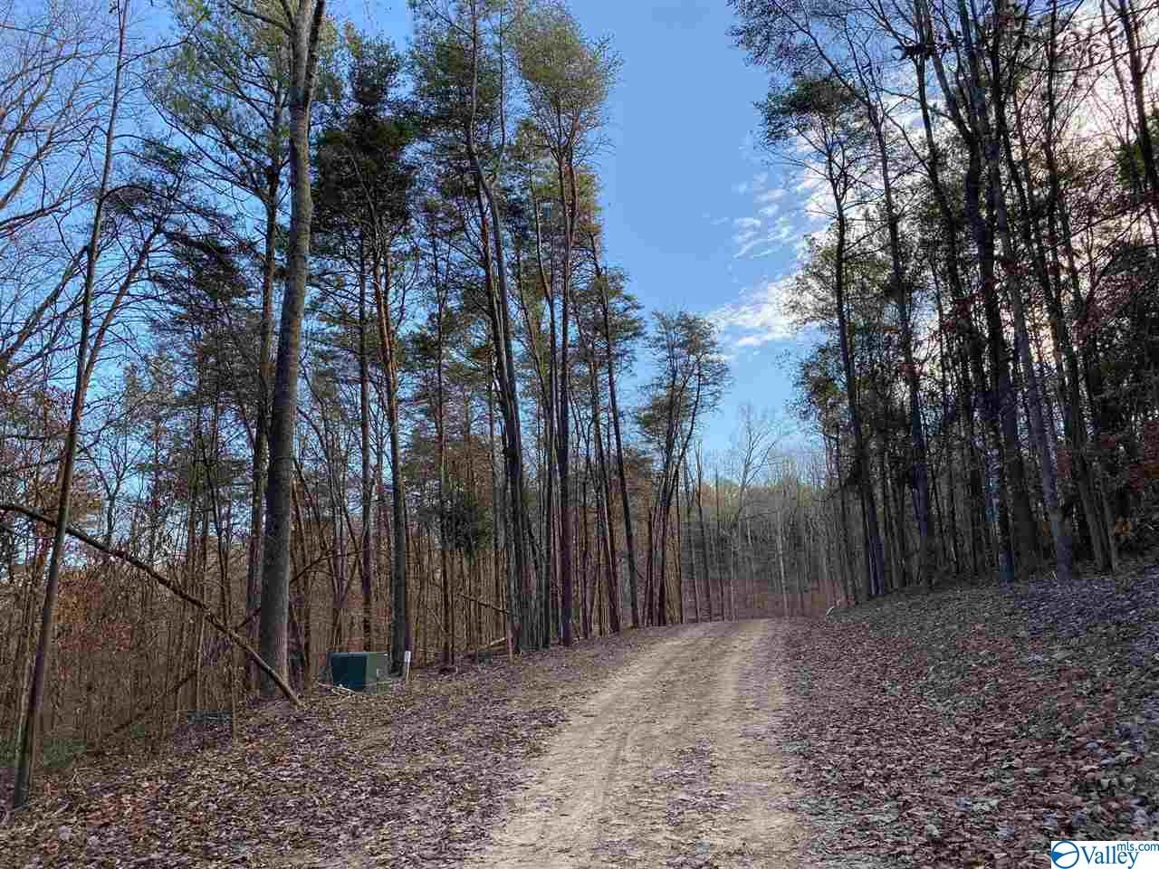 Lot 4 Burns Bluff Loop, Albertville, Alabama image 40