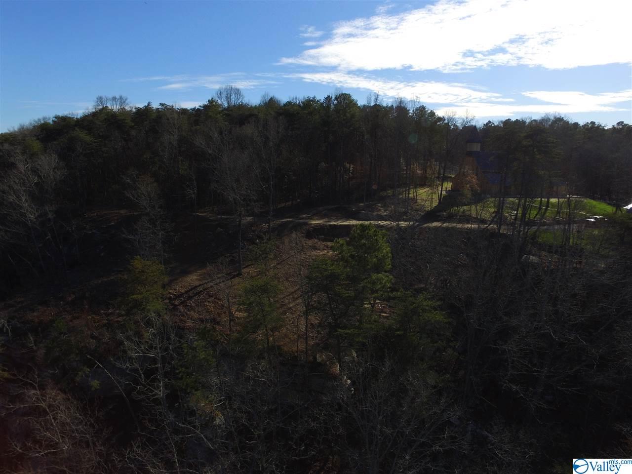 Lot 4 Burns Bluff Loop, Albertville, Alabama image 16