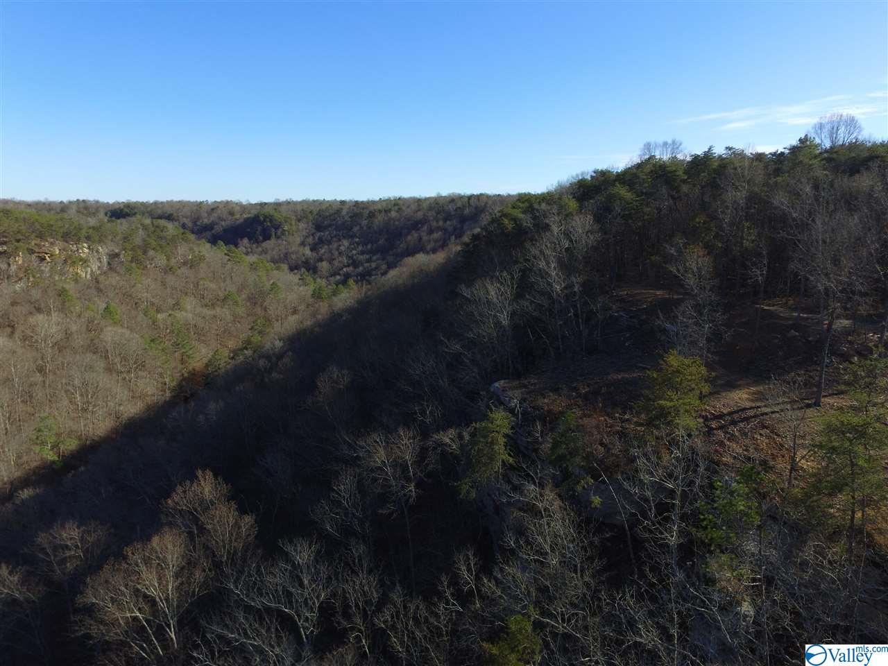 Lot 4 Burns Bluff Loop, Albertville, Alabama image 19