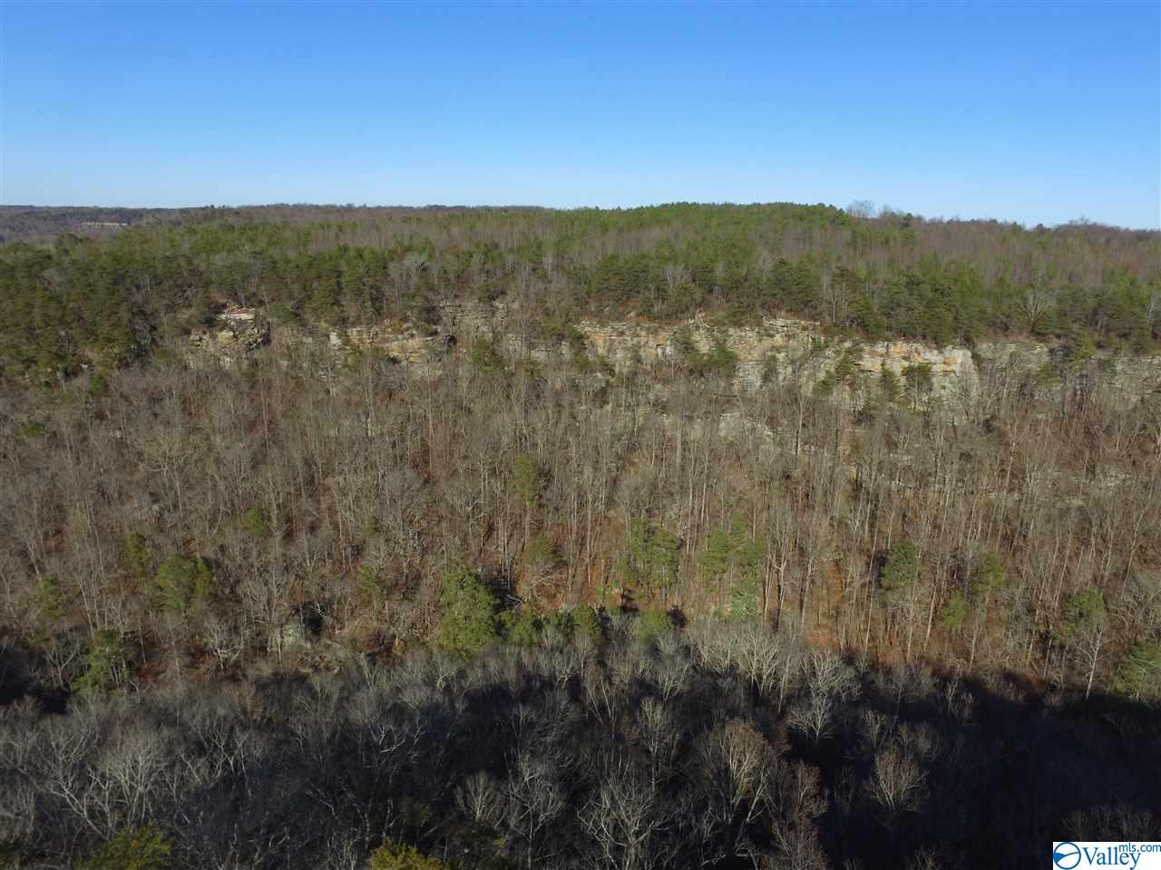 Lot 4 Burns Bluff Loop, Albertville, Alabama image 29