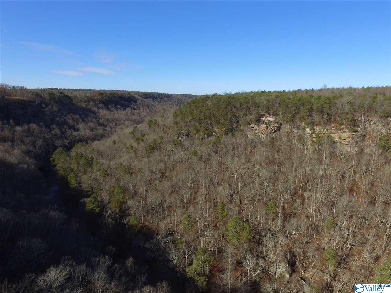 Lot 4 Burns Bluff Loop, Albertville, Alabama image 18