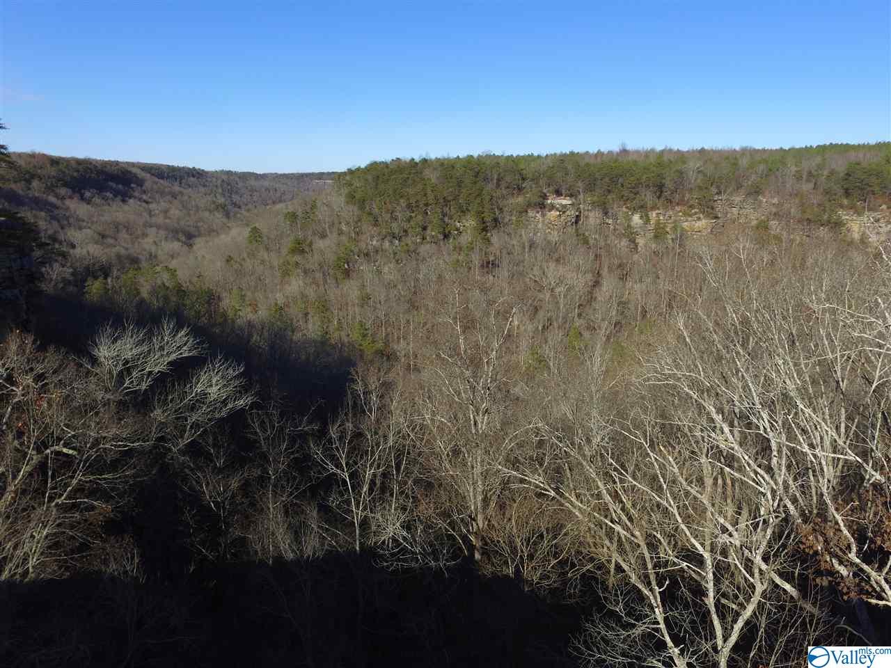 Lot 4 Burns Bluff Loop, Albertville, Alabama image 13