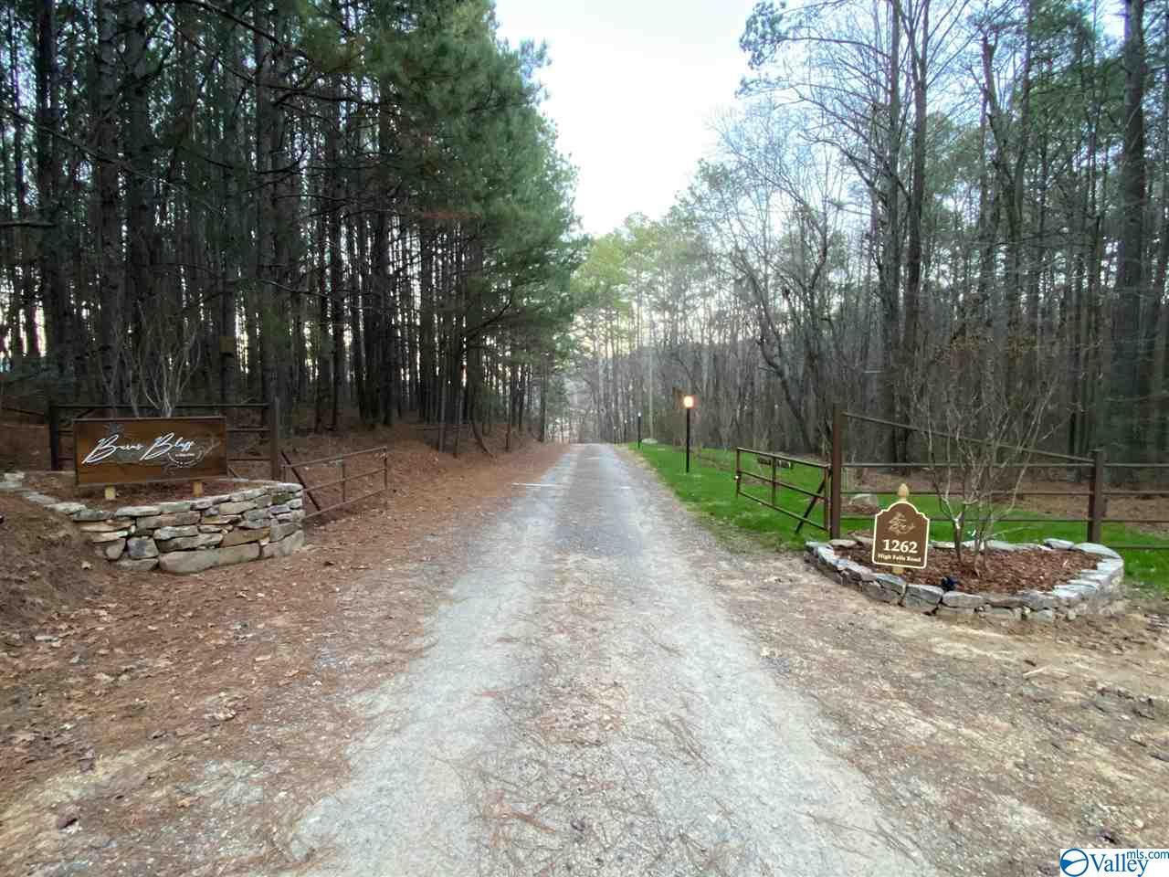 Lot 4 Burns Bluff Loop, Albertville, Alabama image 43