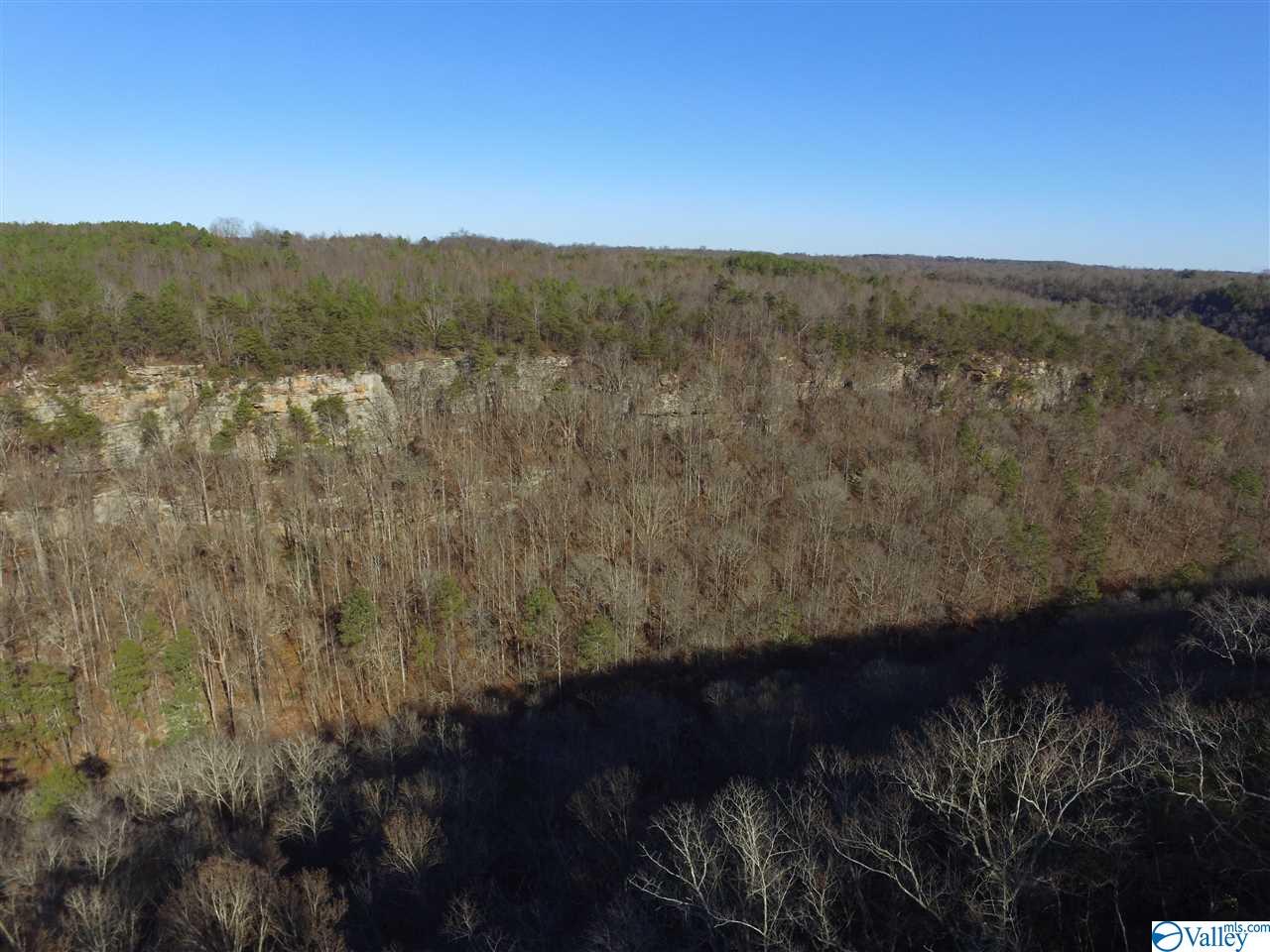 Lot 4 Burns Bluff Loop, Albertville, Alabama image 30