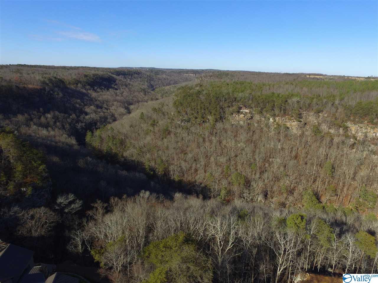 Lot 4 Burns Bluff Loop, Albertville, Alabama image 33