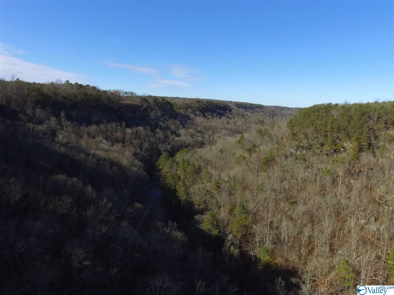 Lot 4 Burns Bluff Loop, Albertville, Alabama image 7