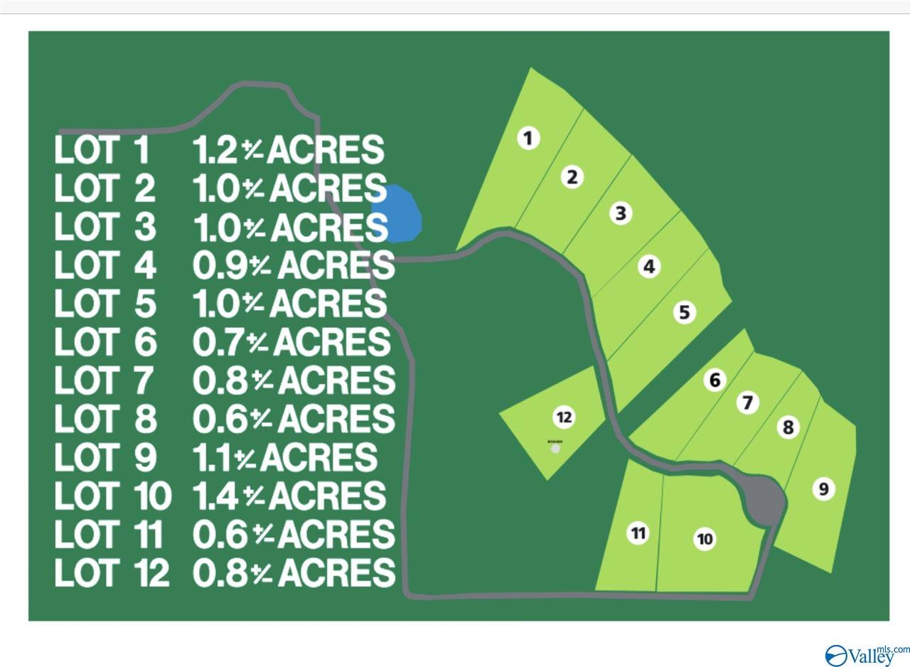 Lot 4 Burns Bluff Loop, Albertville, Alabama image 44