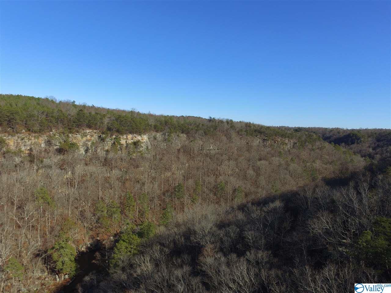 Lot 4 Burns Bluff Loop, Albertville, Alabama image 14