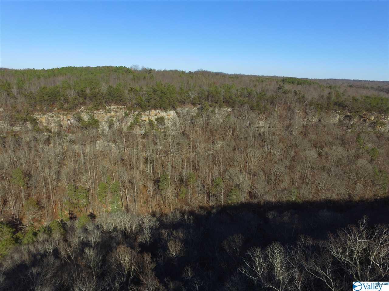 Lot 4 Burns Bluff Loop, Albertville, Alabama image 31