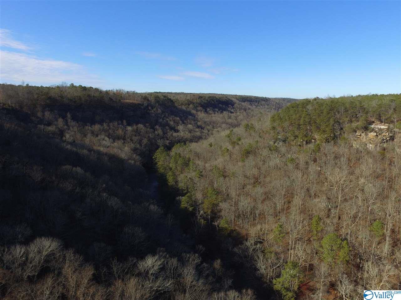 Lot 4 Burns Bluff Loop, Albertville, Alabama image 17