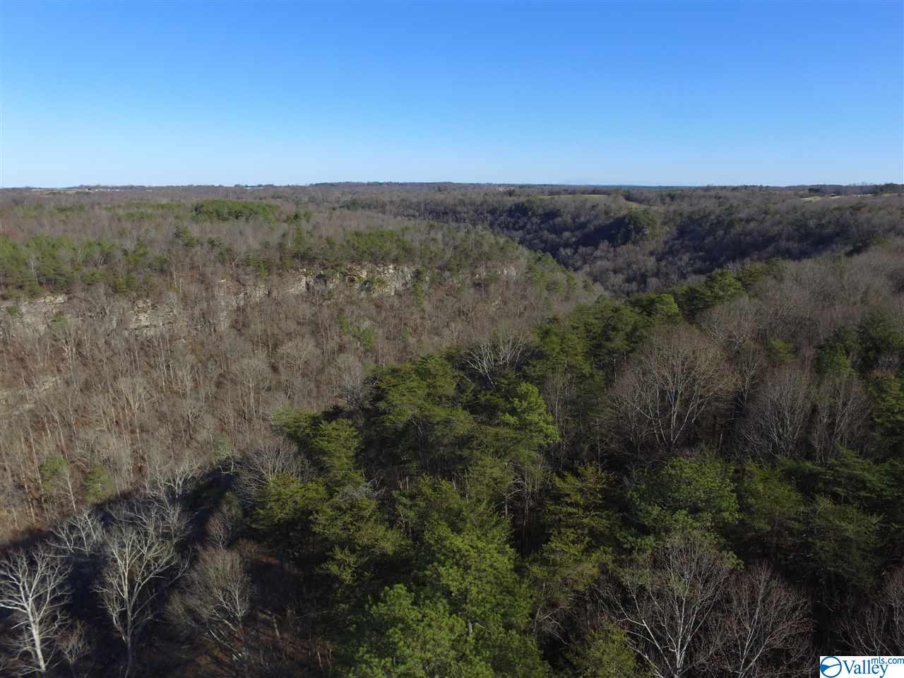 Lot 4 Burns Bluff Loop, Albertville, Alabama image 35