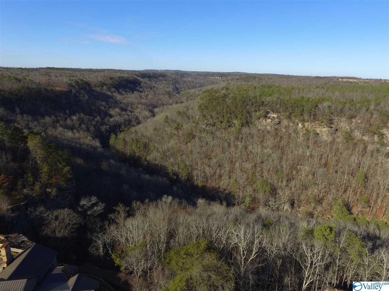 Lot 4 Burns Bluff Loop, Albertville, Alabama image 34