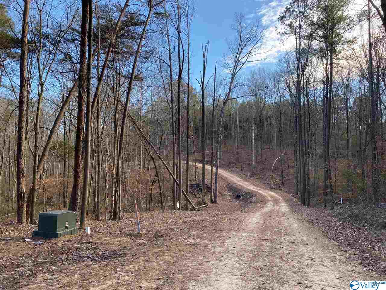 Lot 4 Burns Bluff Loop, Albertville, Alabama image 41