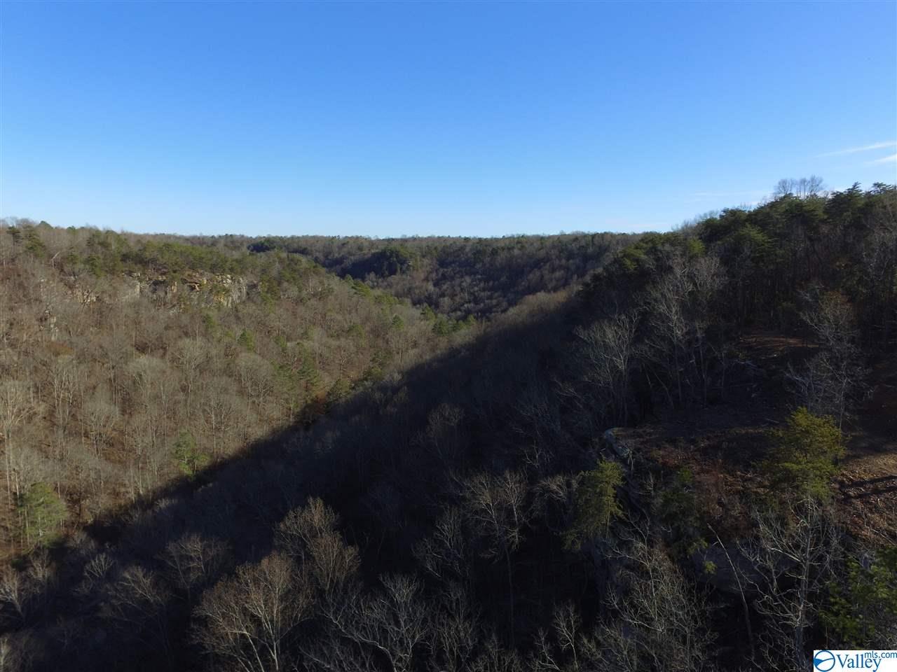 Lot 4 Burns Bluff Loop, Albertville, Alabama image 15