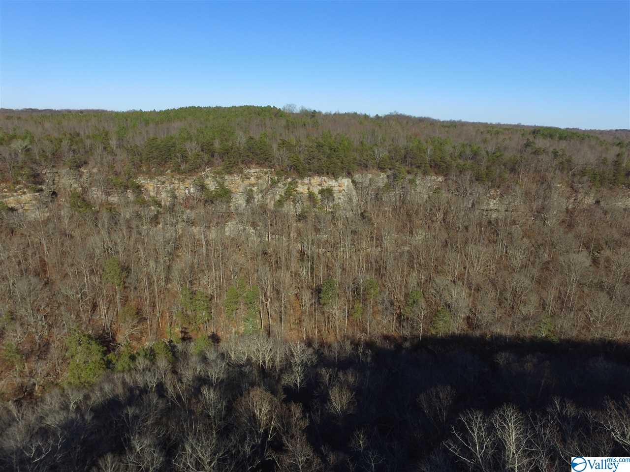 Lot 4 Burns Bluff Loop, Albertville, Alabama image 32