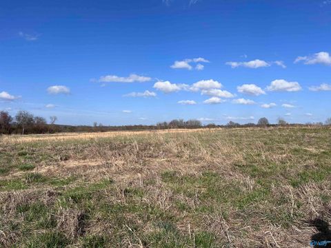 Vacant Land For Sale - 64 ACRES County Road 463<br/> Section, AL 35771