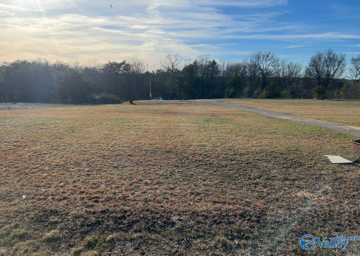 399 County Road 649, Mentone, Alabama image 4