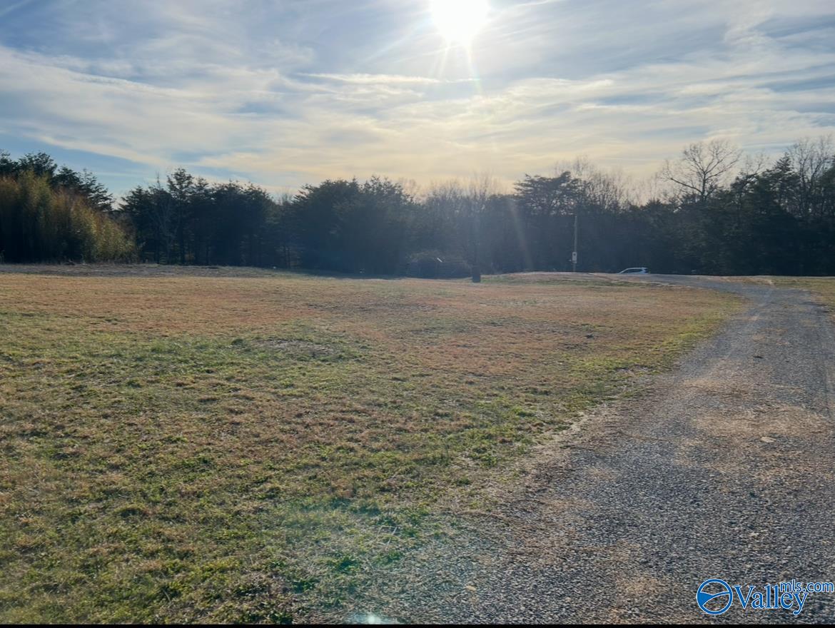 399 County Road 649, Mentone, Alabama image 3