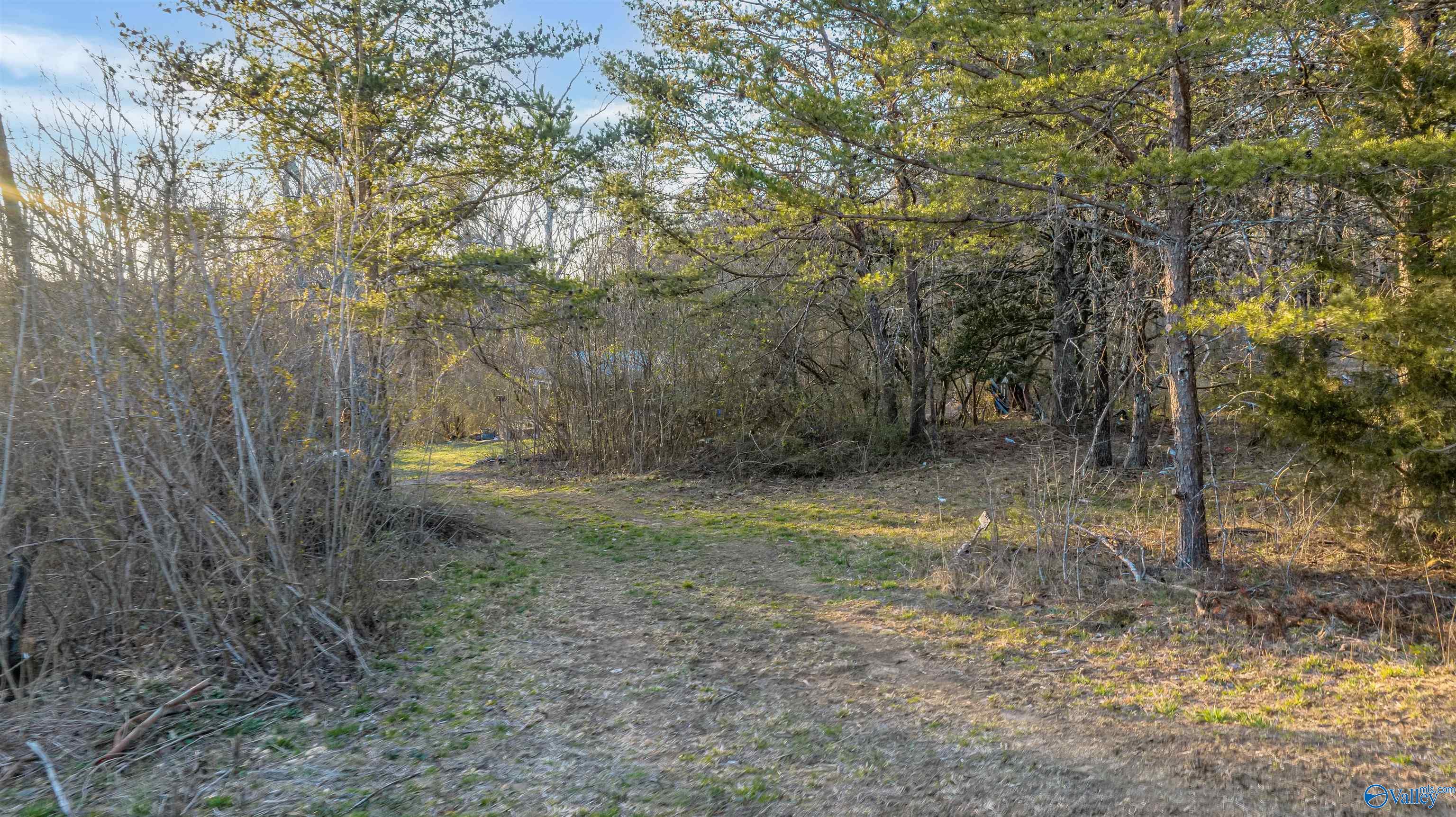 399 County Road 649, Mentone, Alabama image 27
