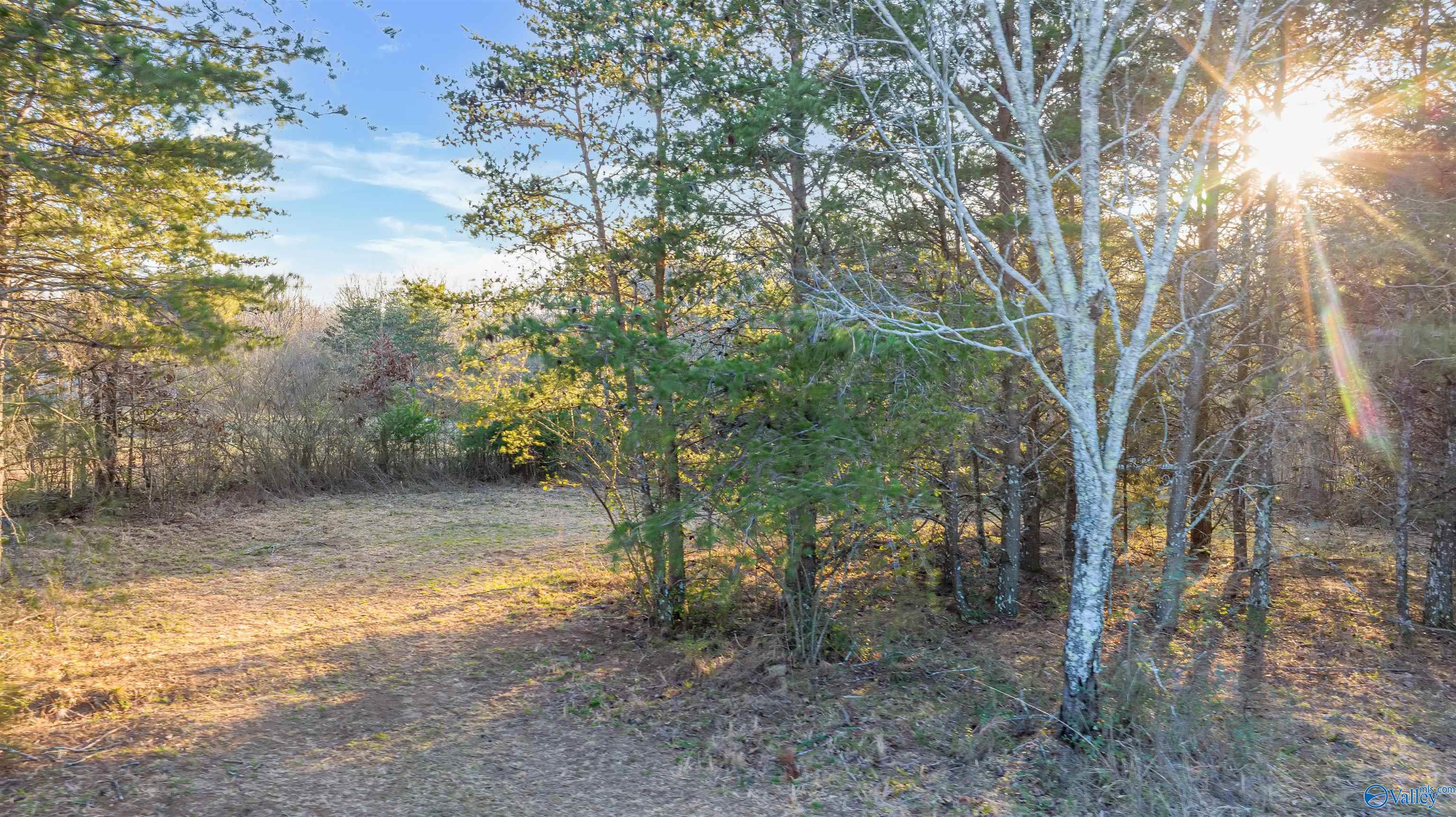 399 County Road 649, Mentone, Alabama image 26