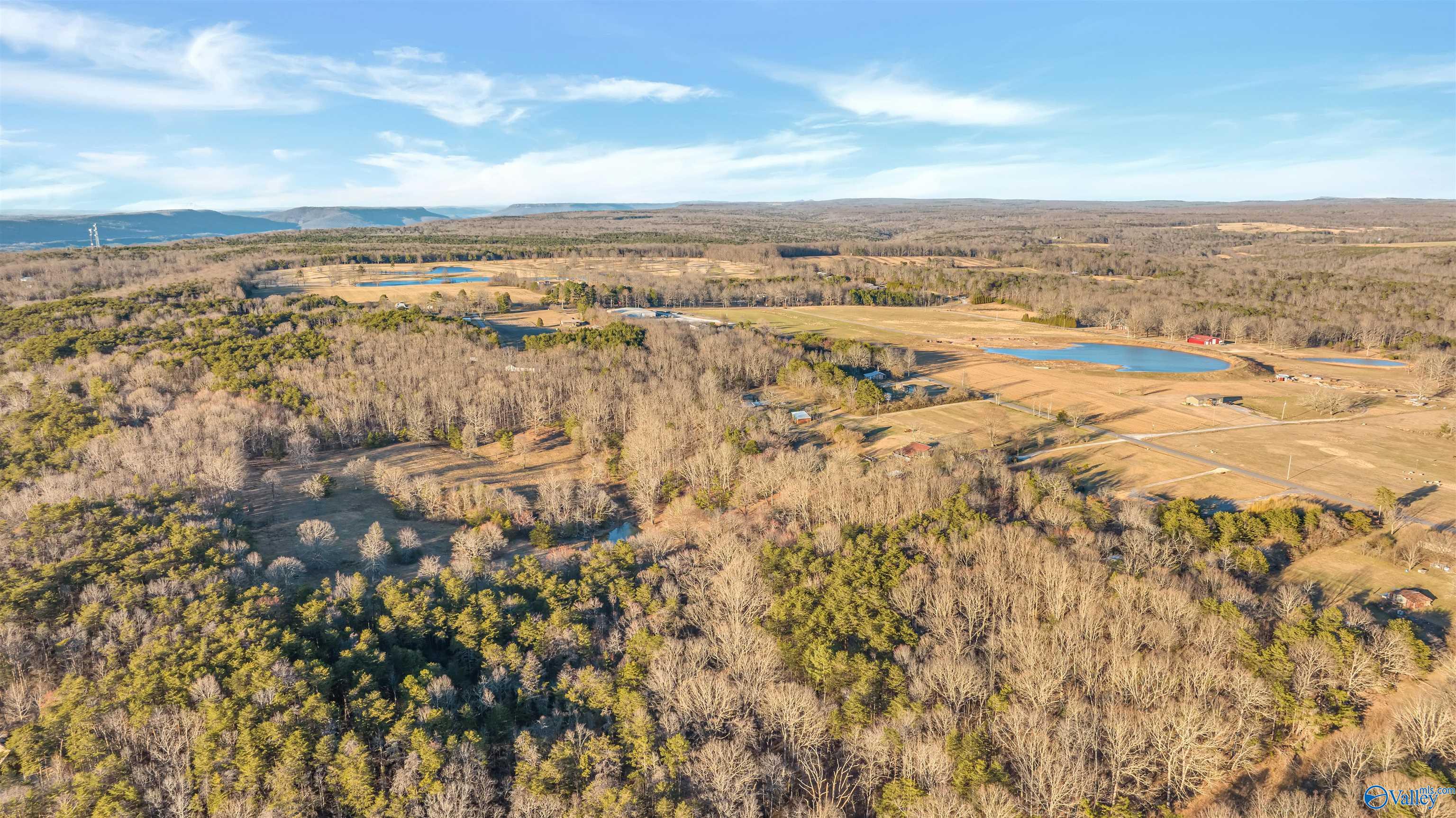 399 County Road 649, Mentone, Alabama image 8