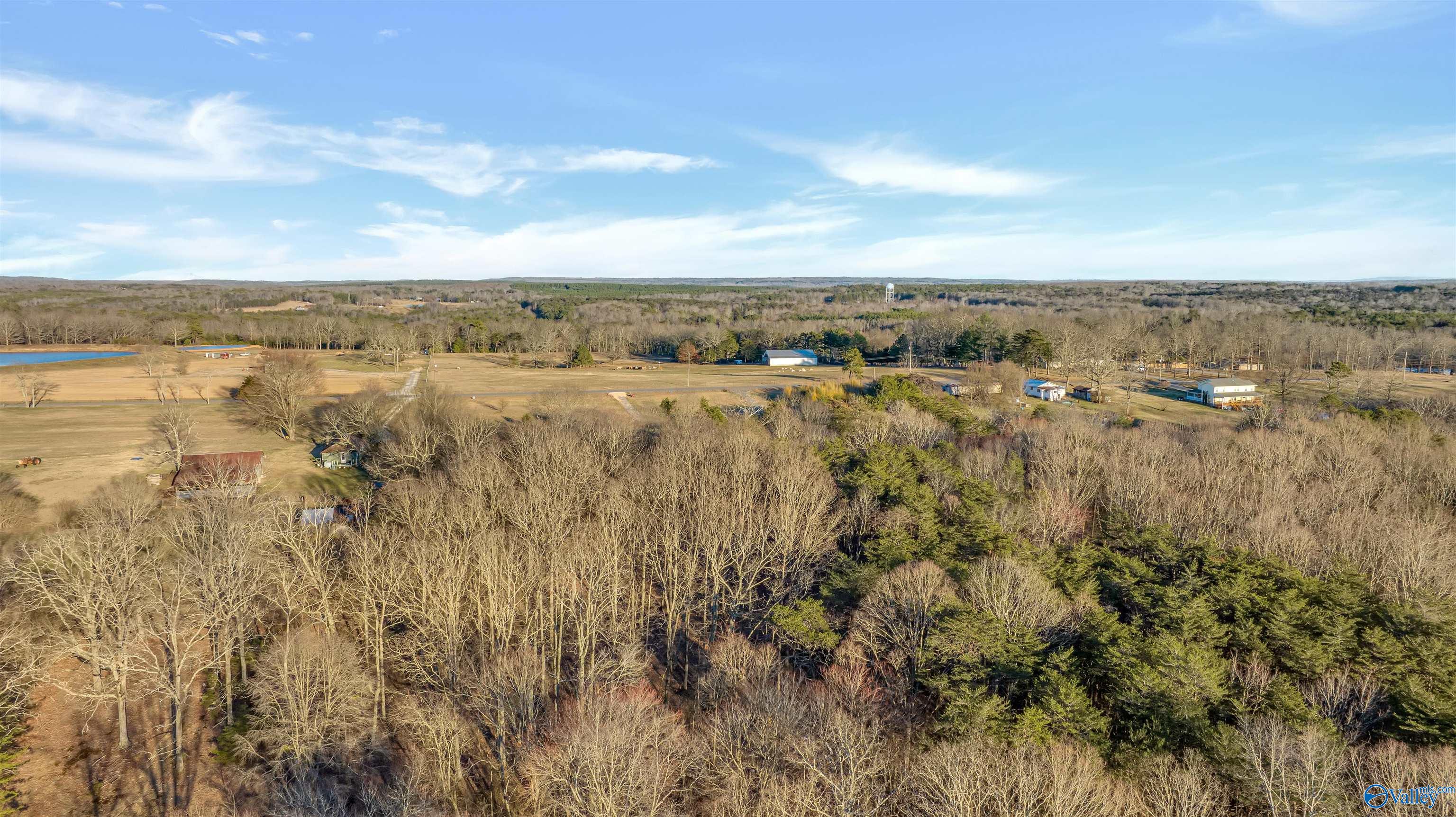 399 County Road 649, Mentone, Alabama image 19
