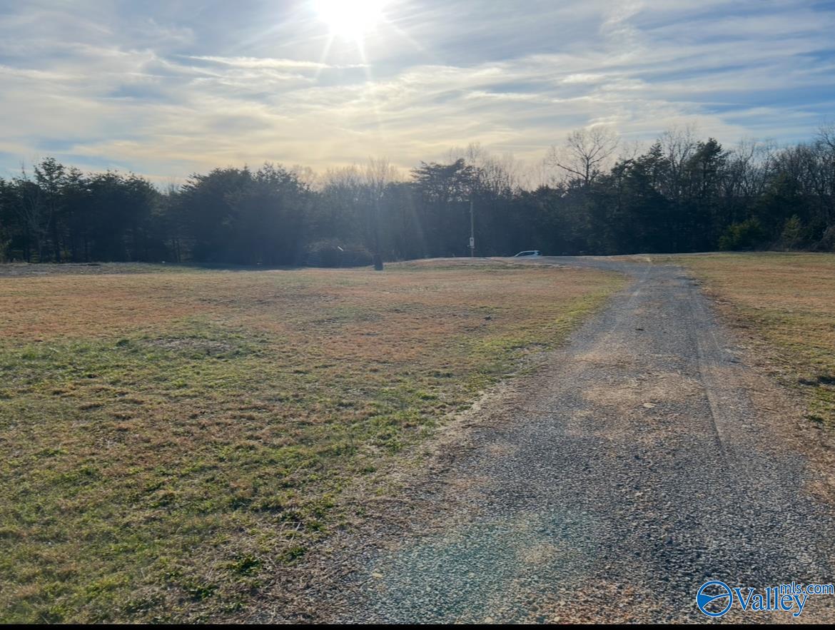 399 County Road 649, Mentone, Alabama image 5