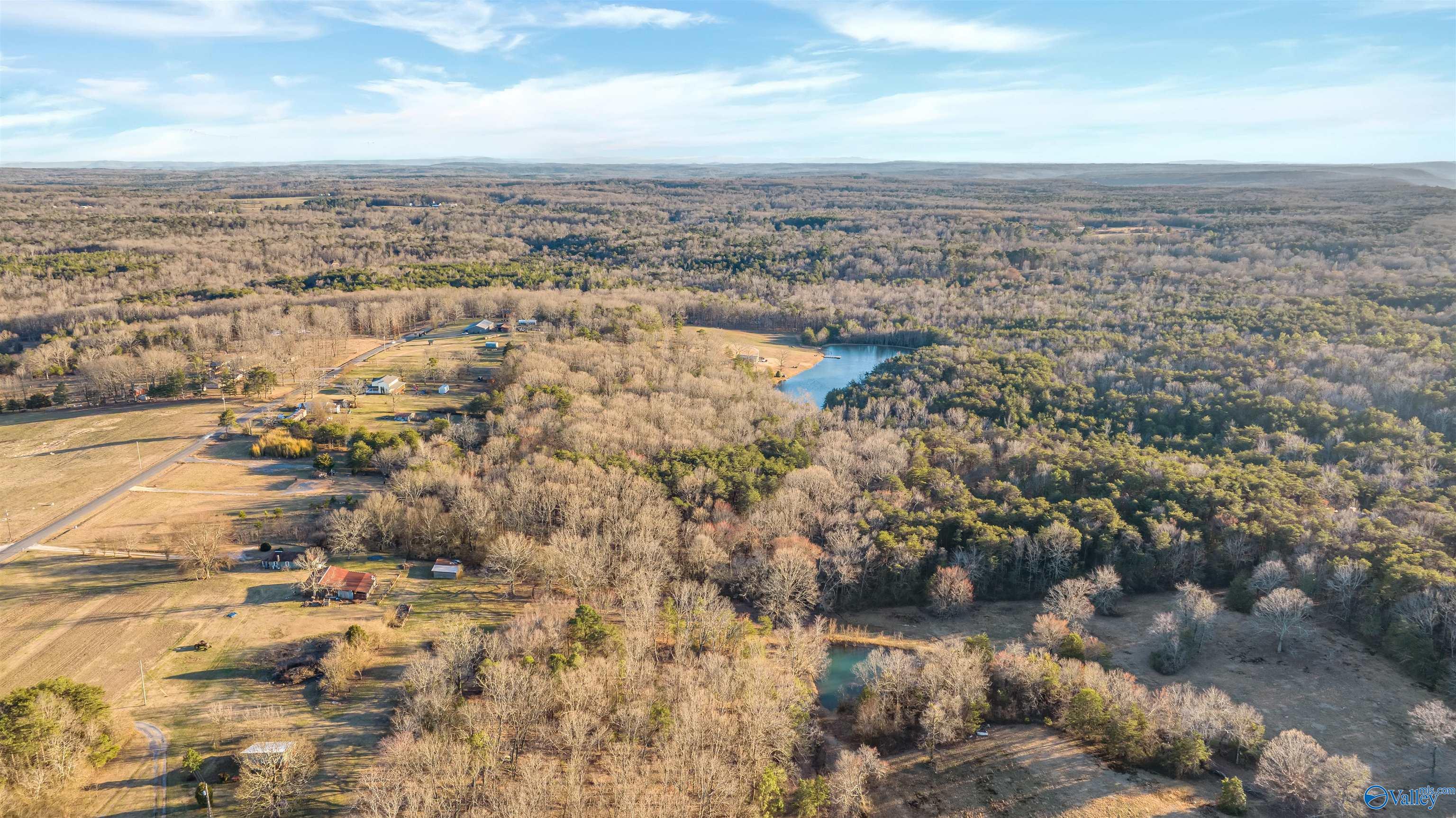 399 County Road 649, Mentone, Alabama image 12