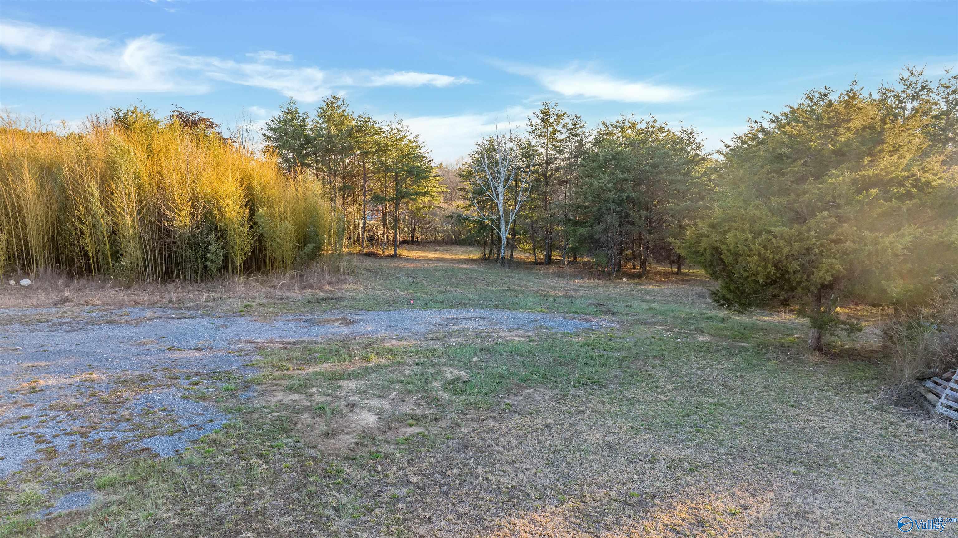 399 County Road 649, Mentone, Alabama image 25