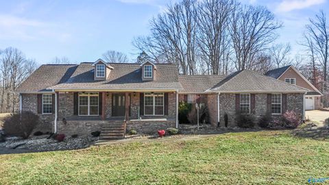 Photo of 26670 Alabama Highway 79, Scottsboro, AL 35768 (MLS # 21908221)