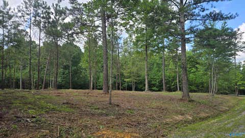 Vacant Land For Sale - LOT 49 AND 50 Lake View Drive<br/> Cherokee County, Mentone, AL 35984