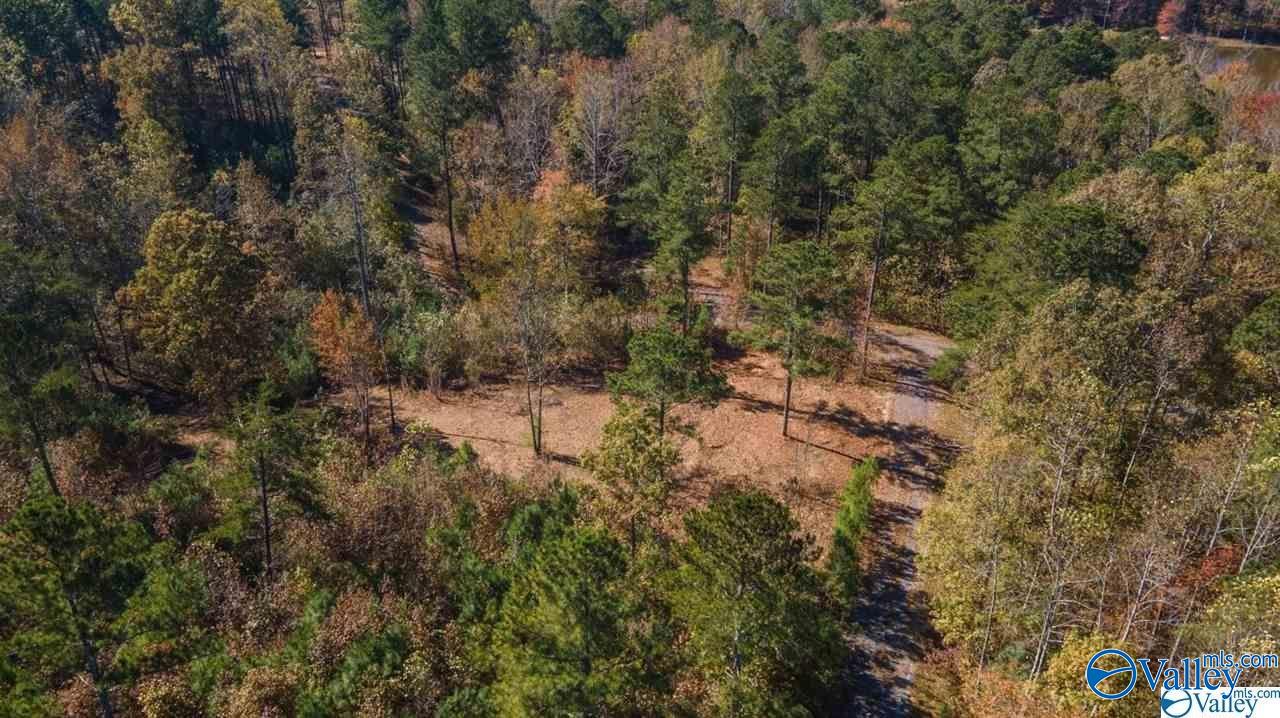 Lot 49 and 50 Lake View Drive