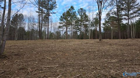 Lot 49 and 50 Lake View Drive Mentone AL 35984