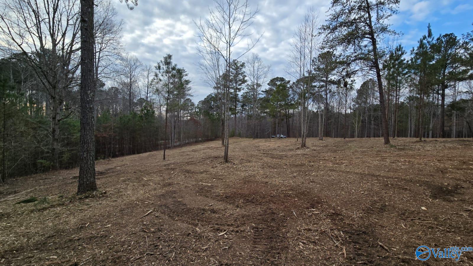 Lot 49 and 50 Lake View Drive