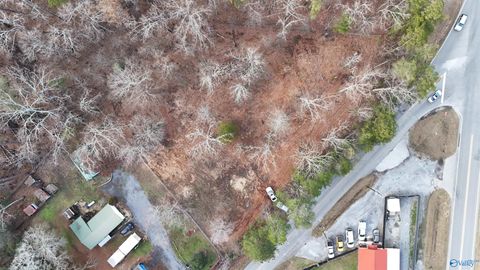 Vacant Land For Sale - 9175 Hokes Bluff Road<br/> Cherokee County, Centre, AL 35960