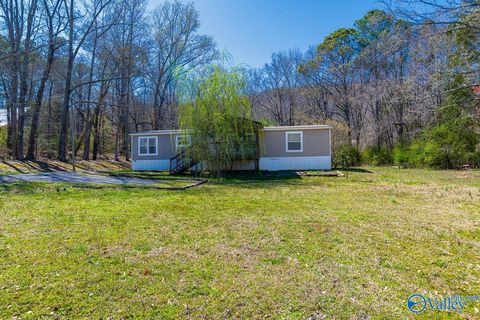Homes For Sale - 1169 Honeycomb Road<br/> Grant, AL 35747