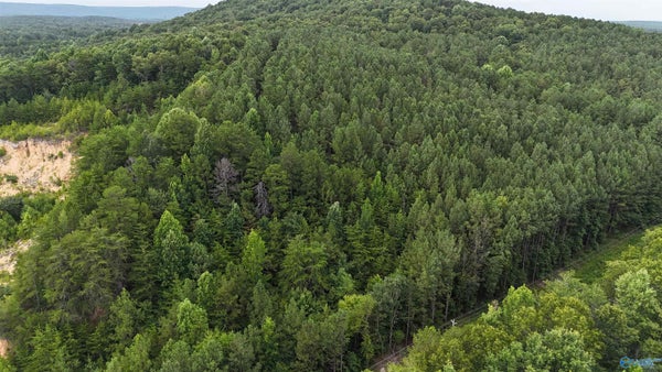 5 COUNTY RD 41, GAYLESVILLE, AL 35973 - Image 15329efc9f6c5fe720cfbe6eeaca62f4/185074322