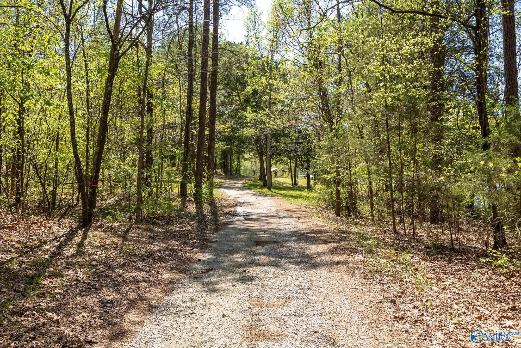 3505 Chula Vista Ridge Drive, Decatur, Alabama image 40