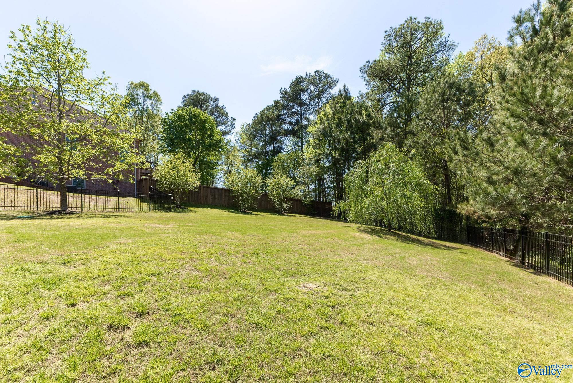 3505 Chula Vista Ridge Drive, Decatur, Alabama image 7