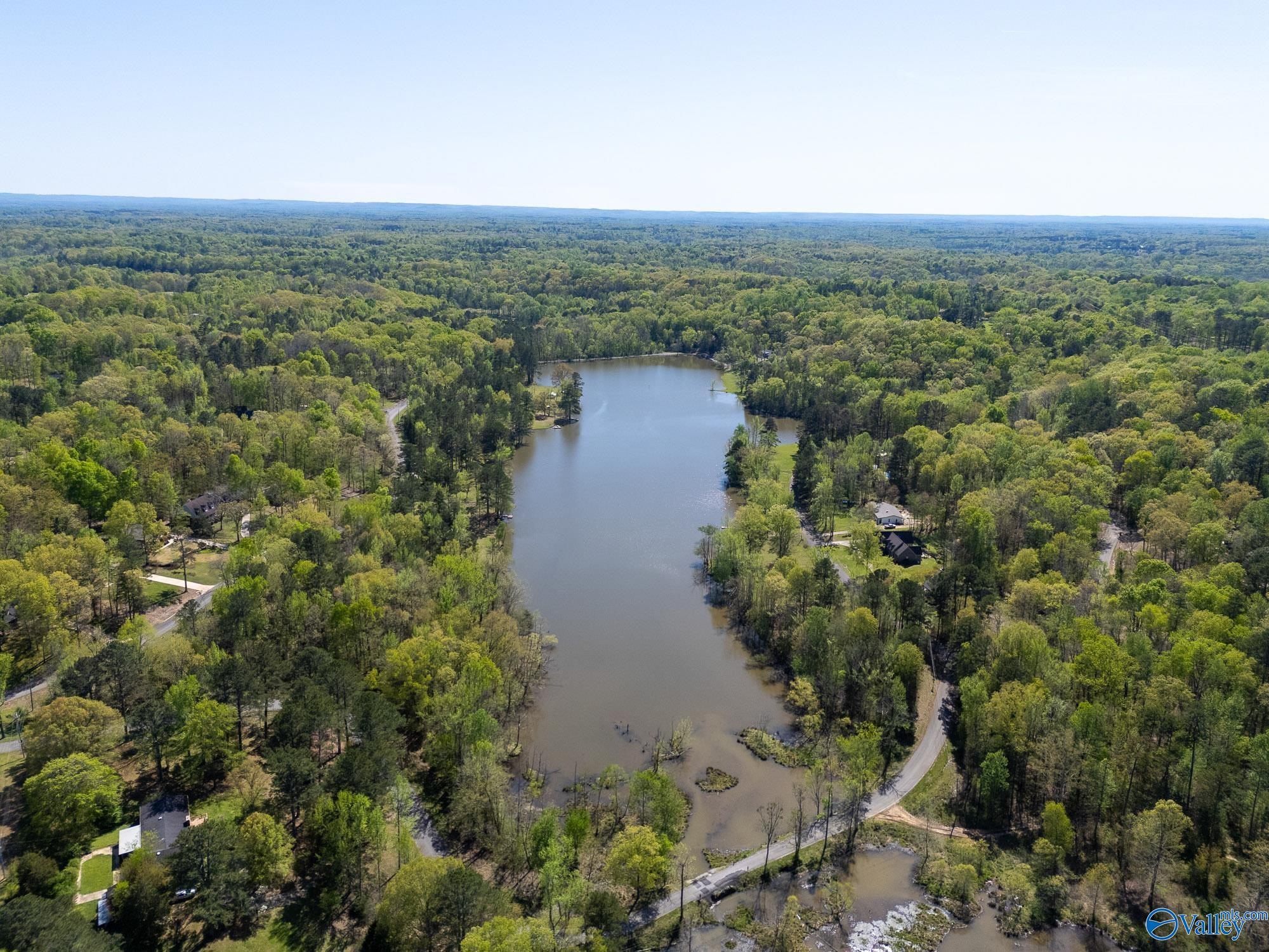 3505 Chula Vista Ridge Drive, Decatur, Alabama image 37