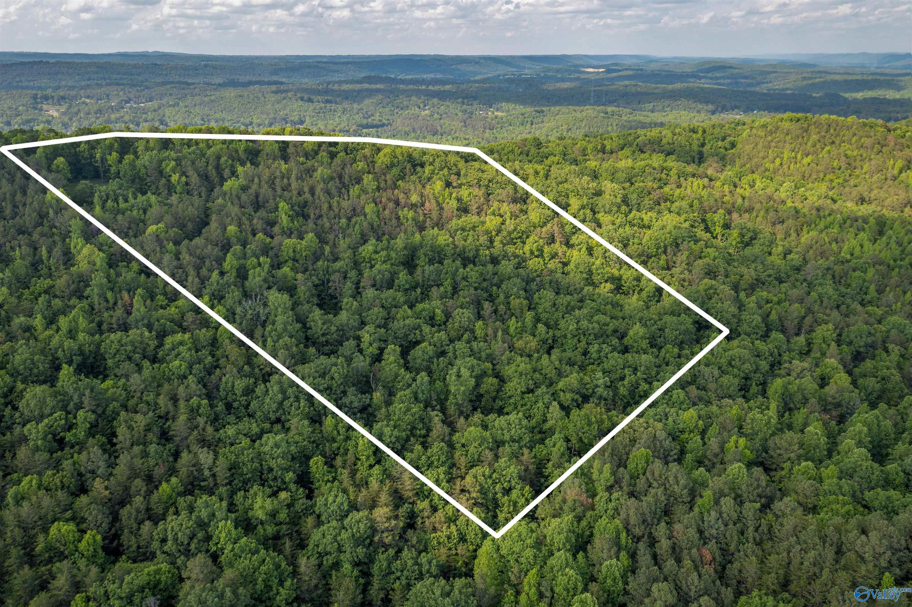 15.2 Acres Miller Hollow Road, Attalla, Alabama image 2