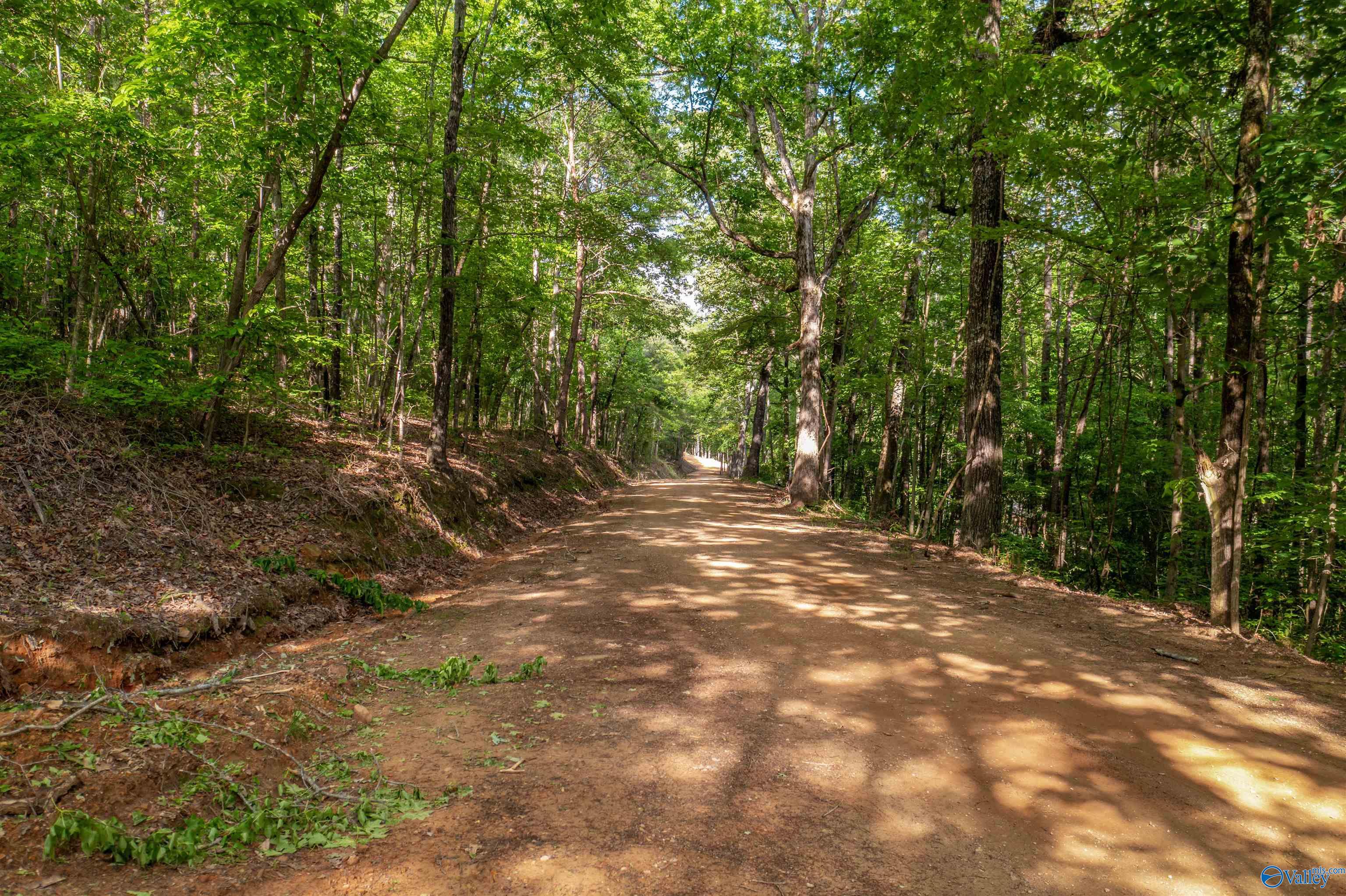 15.2 Acres Miller Hollow Road, Attalla, Alabama image 7