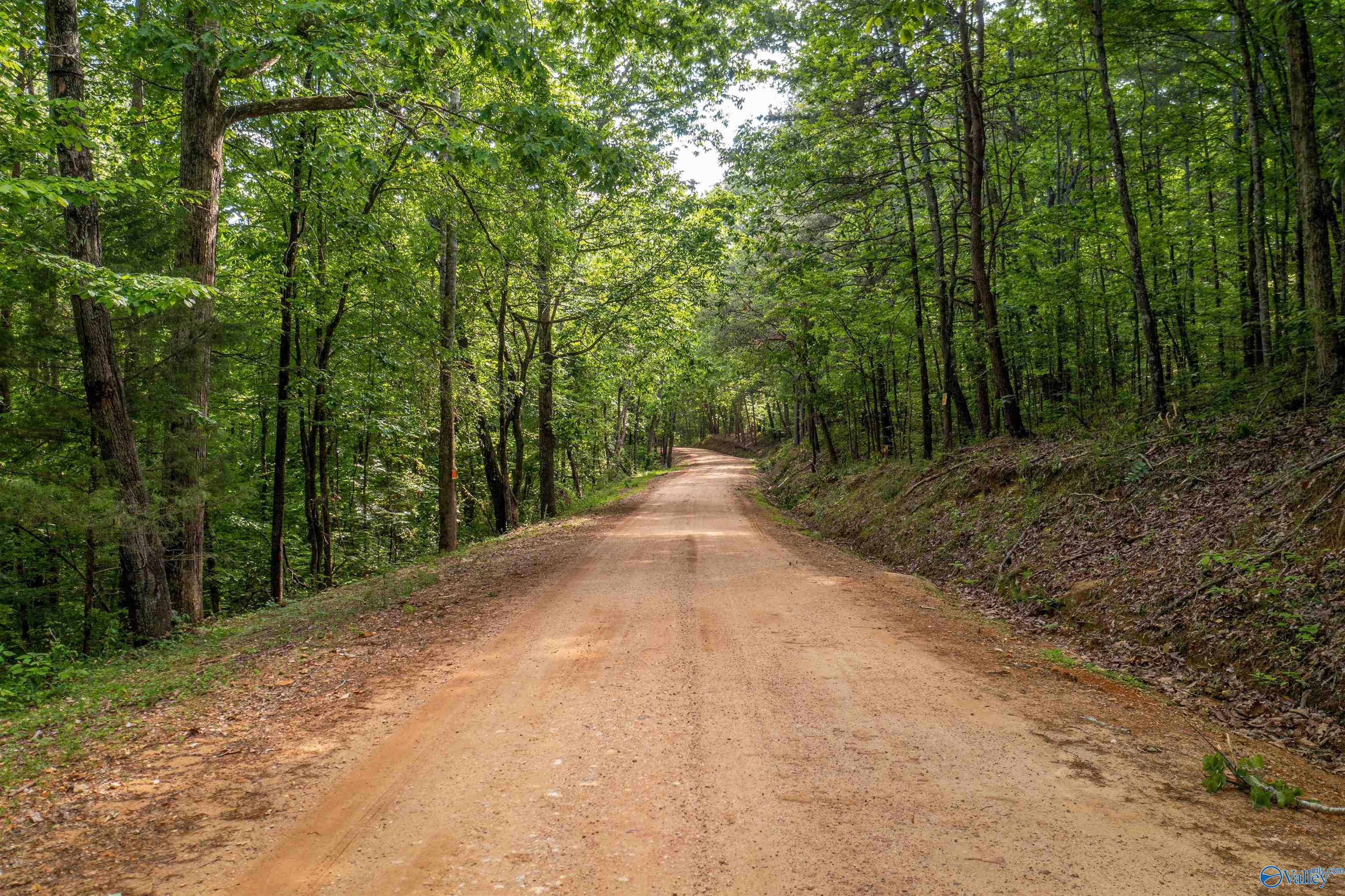 15.2 Acres Miller Hollow Road, Attalla, Alabama image 6