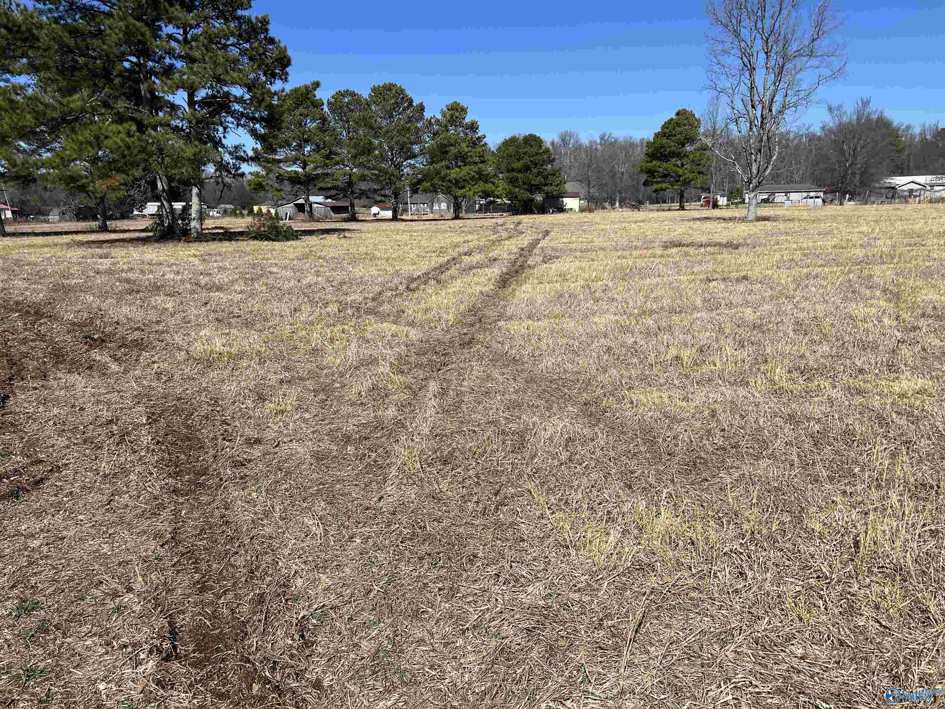11 Sandlin Road, Elkmont, Alabama image 19
