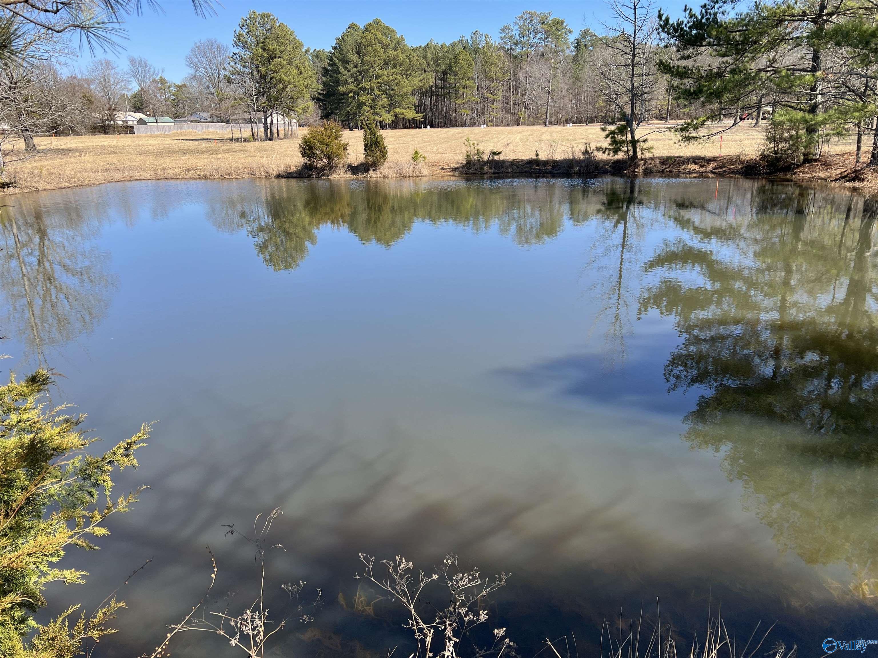 11 Sandlin Road, Elkmont, Alabama image 5