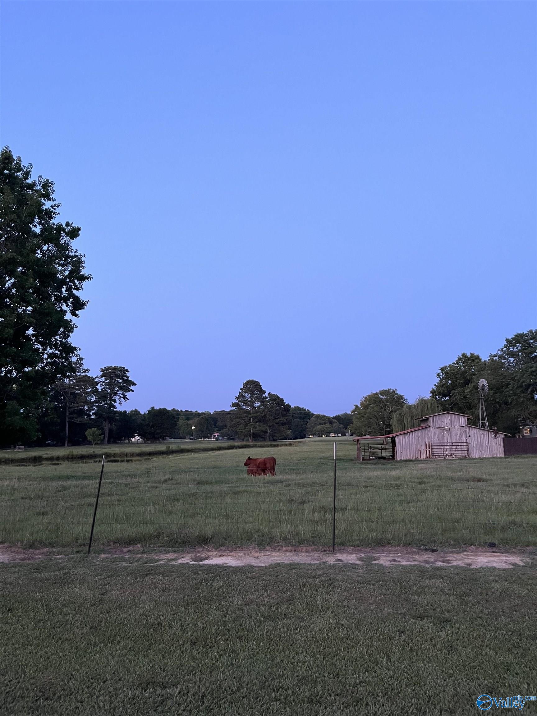 1885 County Road 69, Centre, Alabama image 28