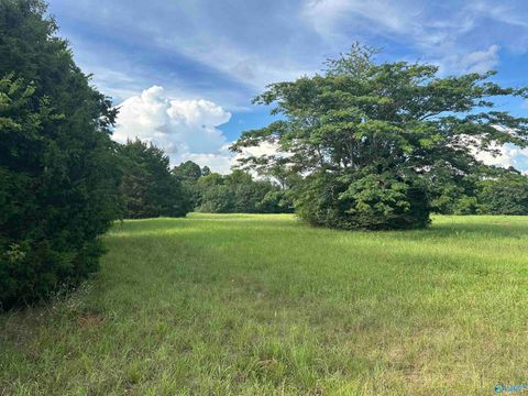 Vacant Land For Sale - 8.9 ACRES Hwy 31<br/> Limestone County, Athens, AL 35611